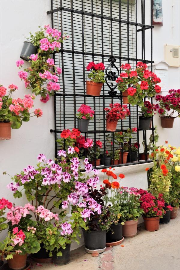 Hostal Moncada Gaucín Esterno foto