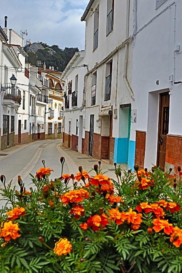 Hostal Moncada Gaucín Esterno foto