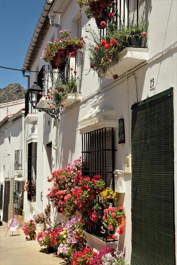 Hostal Moncada Gaucín Esterno foto